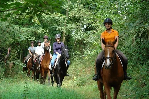 Appartement Du Des Miroirs Avec Piscine Privée Condette