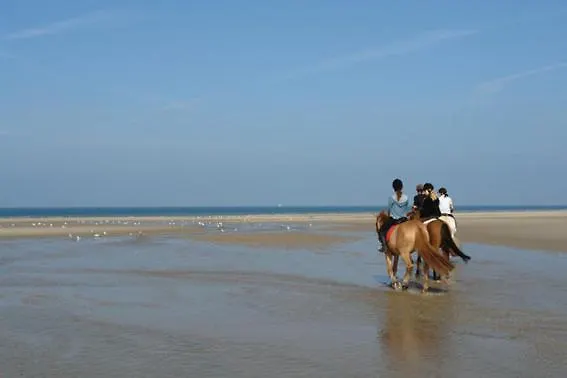 Du Des Miroirs Avec Piscine Privée *